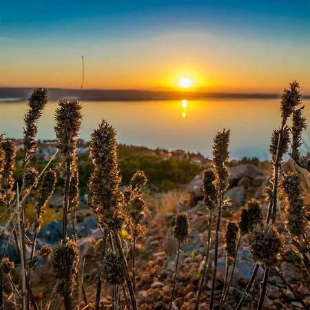 Lejlighed Kuco Starigrad Paklenica